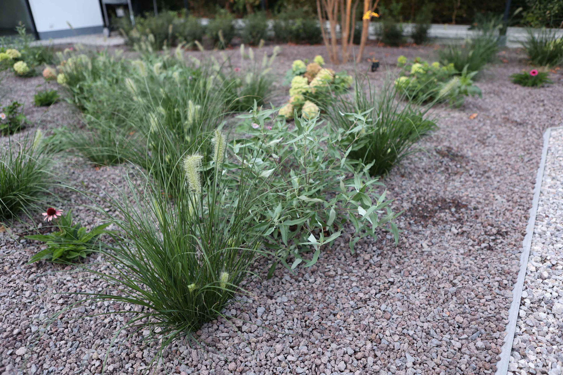 Gerealiseerde tuin van Hoffelijk